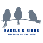 Bagels & Birds - logo